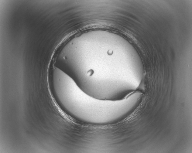 X0000067831034200605041618