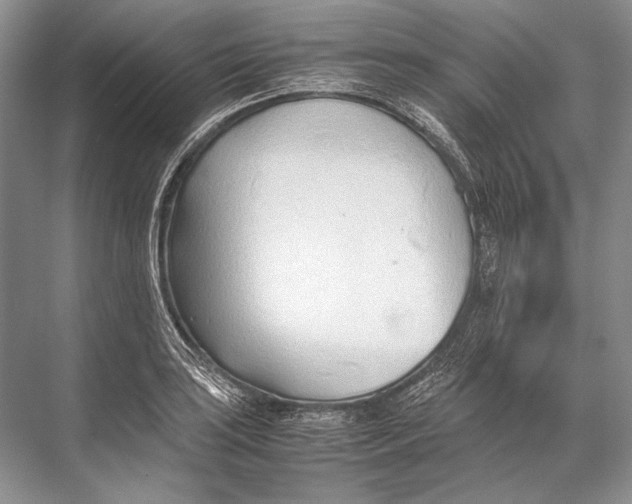 X0000067831035200605041618