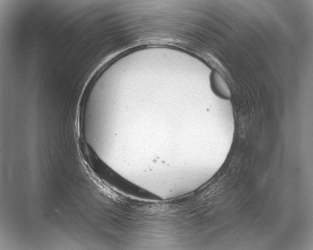 X0000067831036200605041618