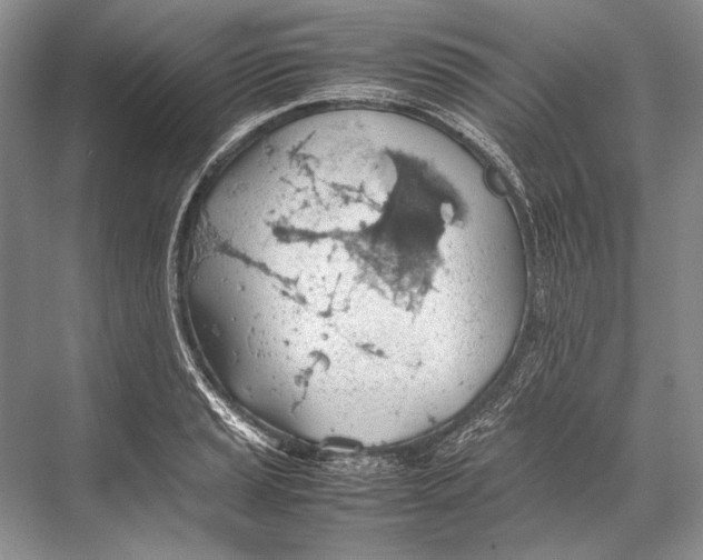 X0000067831037200605041618