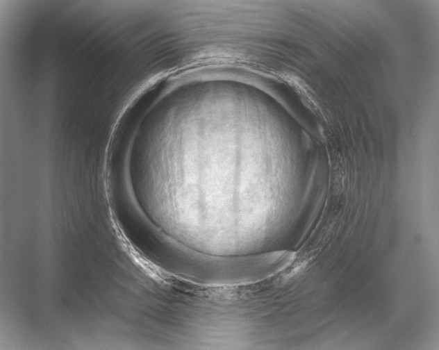 X0000067831038200605041618