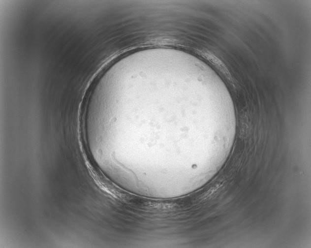 X0000067831039200605041618