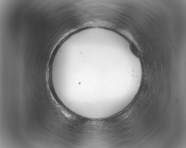 X0000067831040200605041618