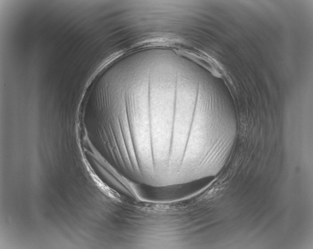 X0000067831042200605041618