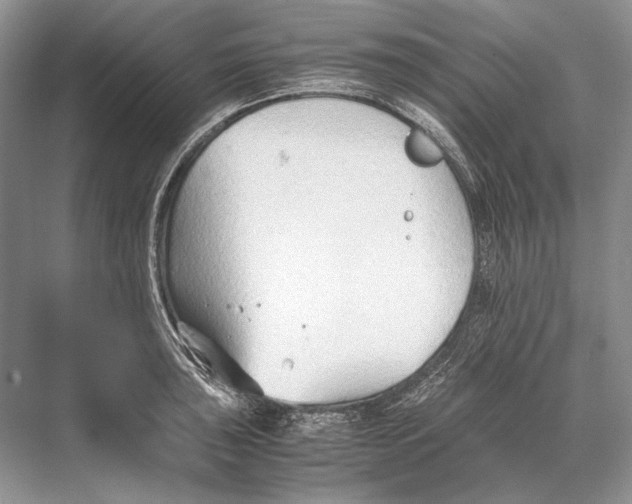 X0000067831043200605041618