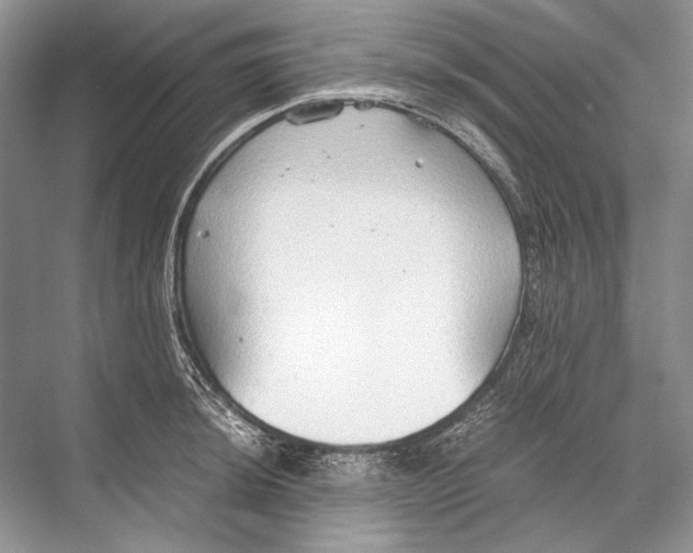 X0000067831044200605041618