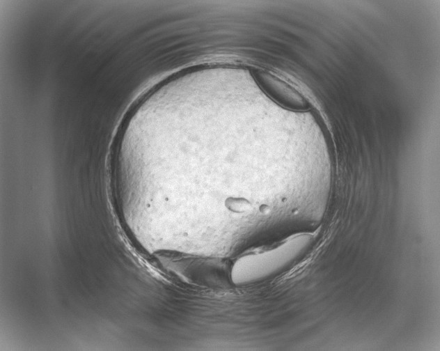 X0000067831045200605041618