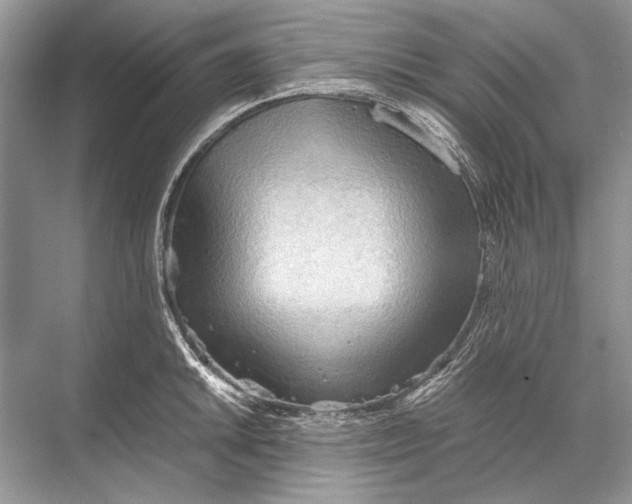 X0000067831046200605041618