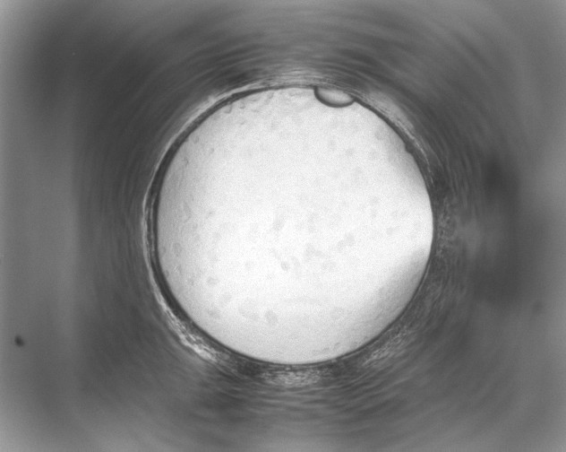 X0000067831047200605041618