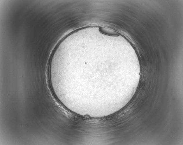 X0000067831048200605041618