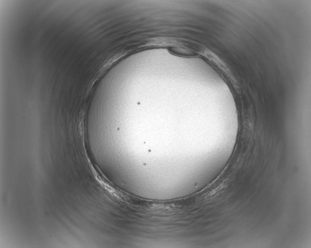 X0000067831049200605041618