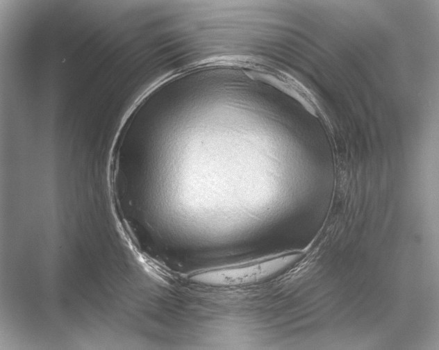 X0000067831050200605041618