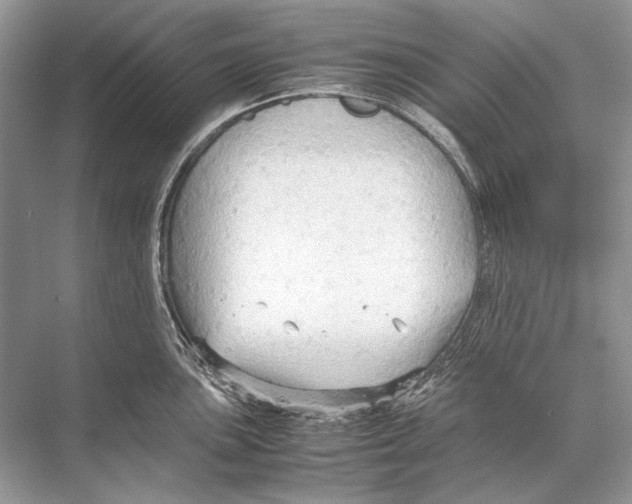 X0000067831051200605041618