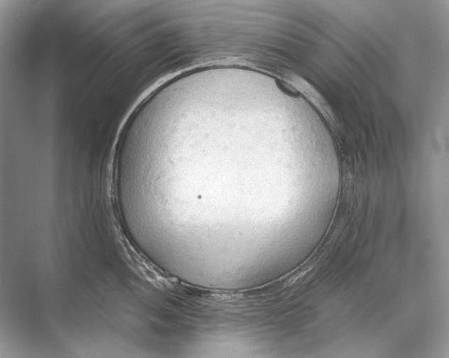 X0000067831052200605041618