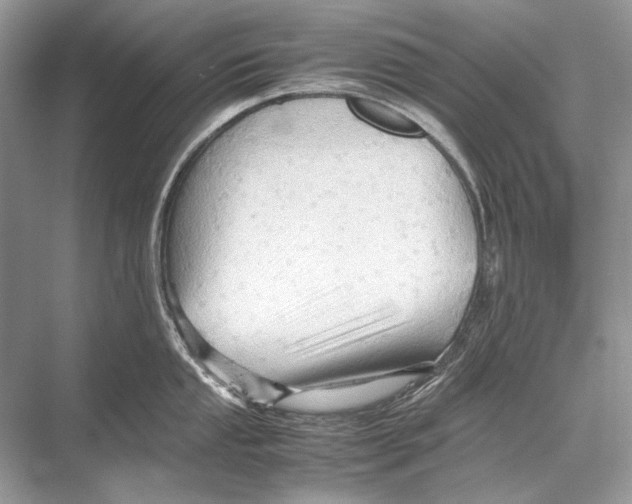 X0000067831053200605041618