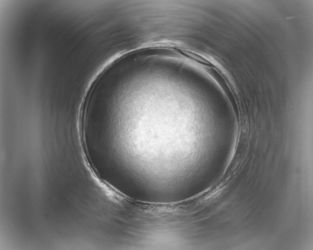 X0000067831054200605041618