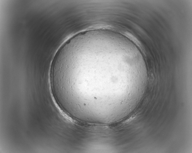 X0000067831055200605041618