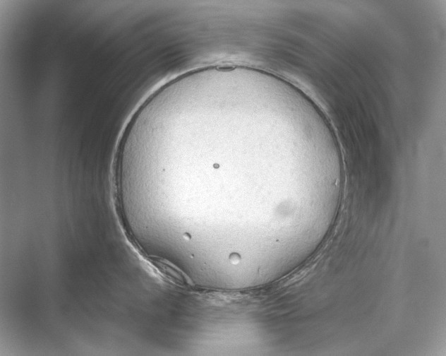 X0000067831056200605041618