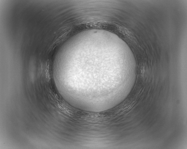 X0000067831060200605041618