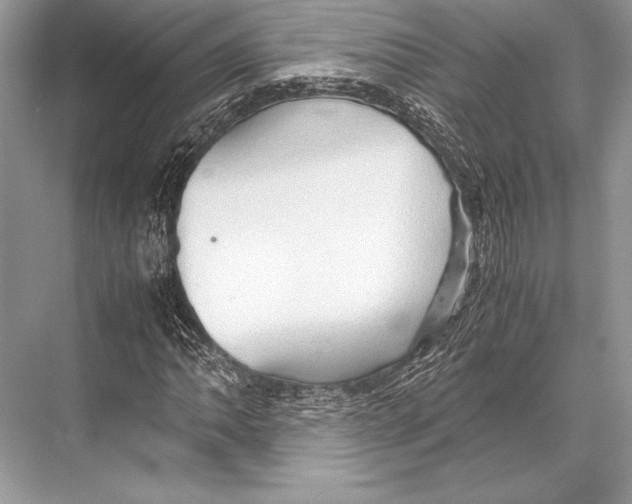 X0000067831062200605041618