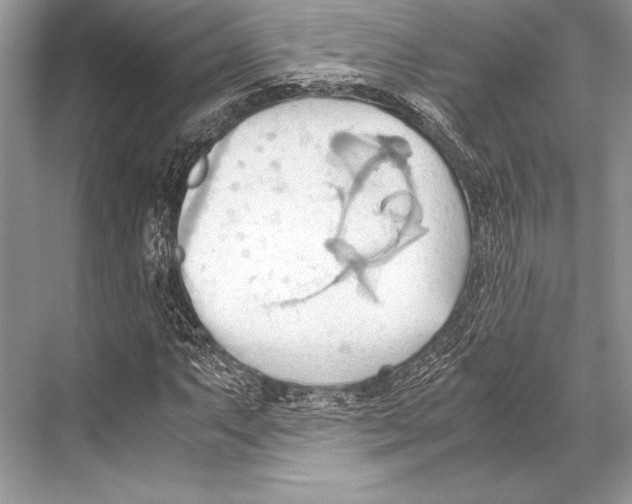 X0000067831063200605041618