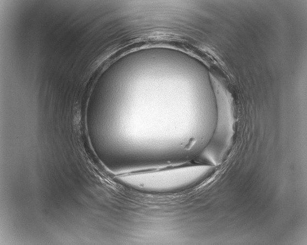 X0000067831065200605041617