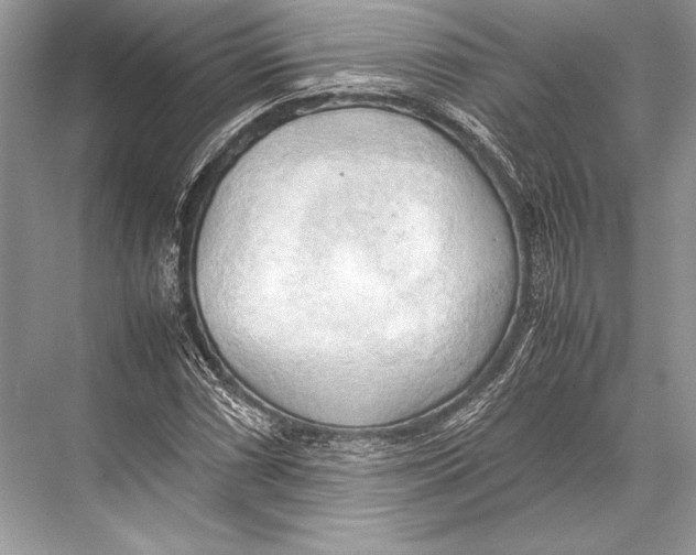 X0000067831066200605041617