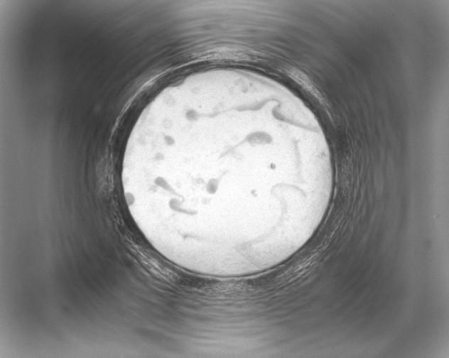 X0000067831067200605041617