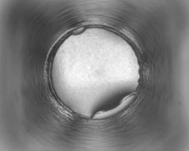 X0000067831068200605041617