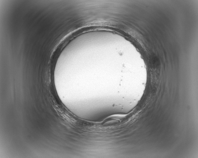 X0000067831069200605041617