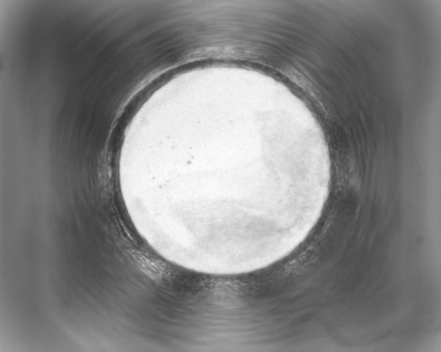 X0000067831070200605041617