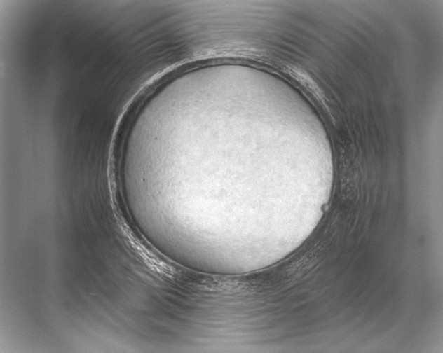 X0000067831072200605041617