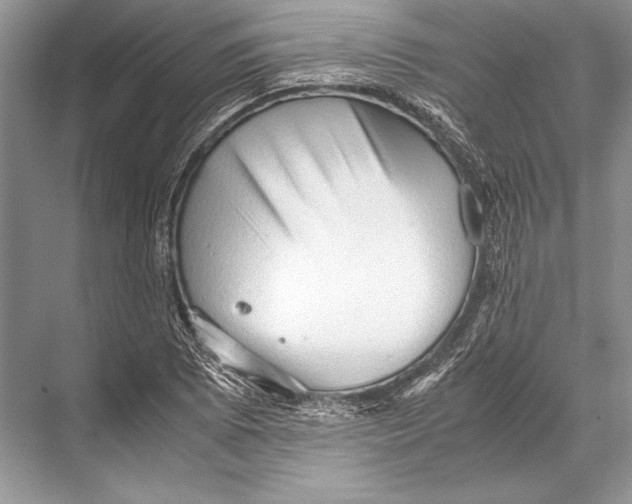 X0000067831073200605041617