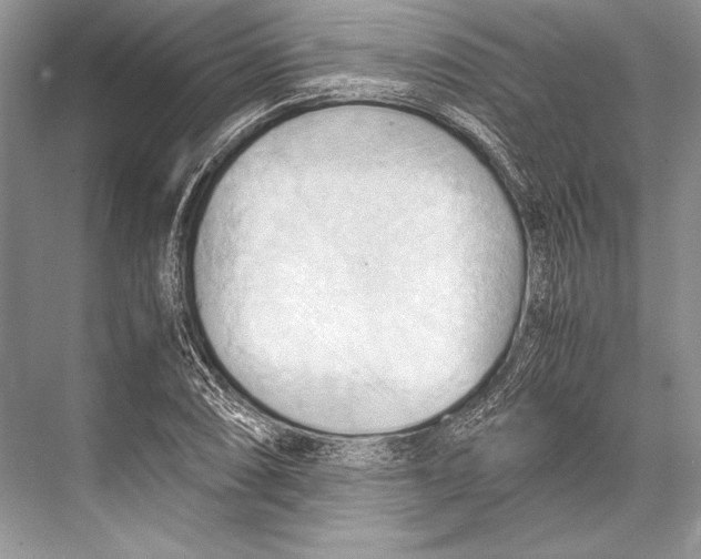 X0000067831074200605041617