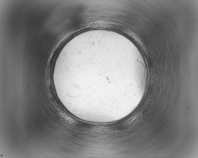 X0000067831075200605041617