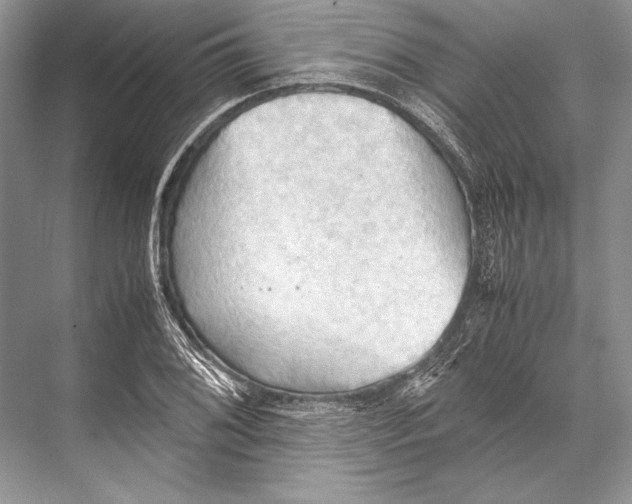 X0000067831076200605041617