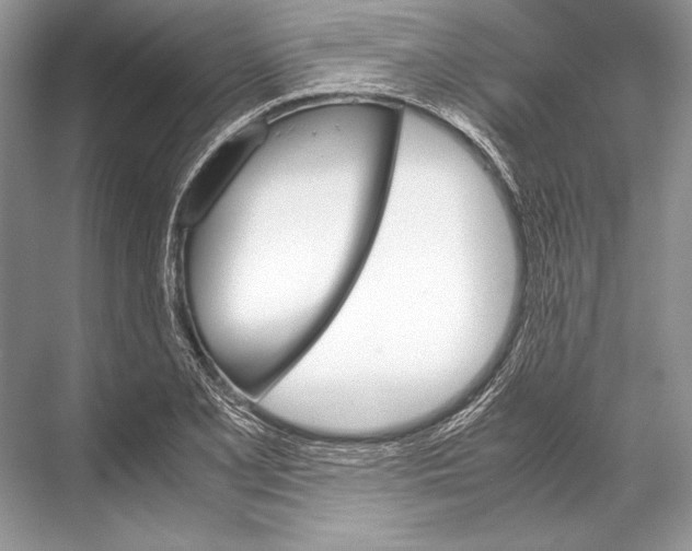 X0000067831077200605041617