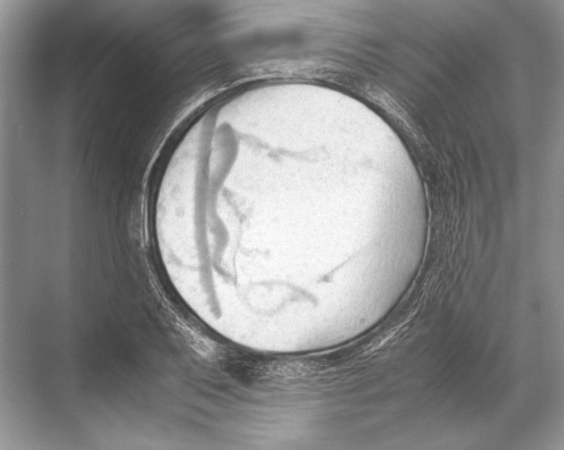 X0000067831079200605041617