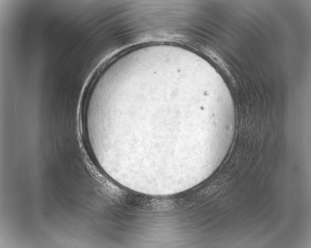 X0000067831080200605041617