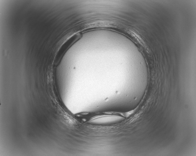 X0000067831081200605041617