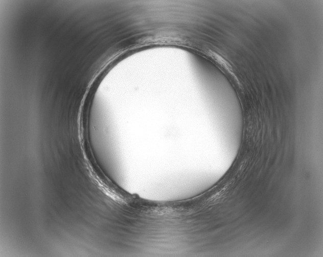 X0000067831082200605041617