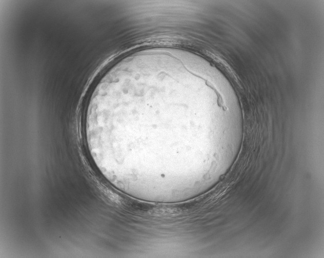 X0000067831083200605041617