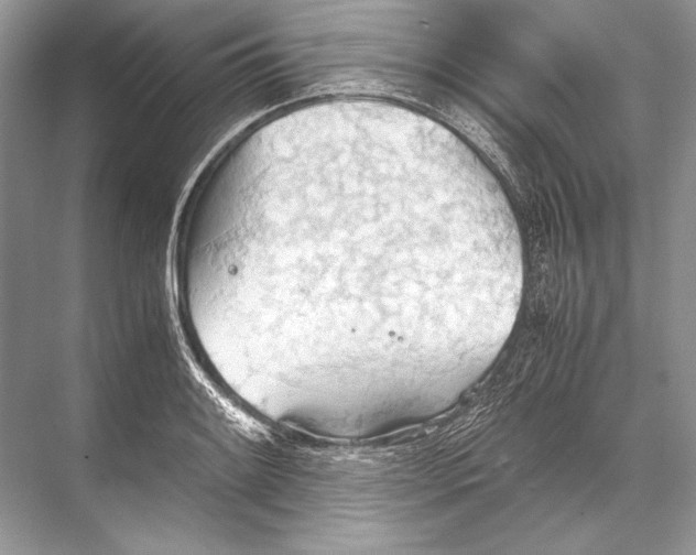 X0000067831084200605041617