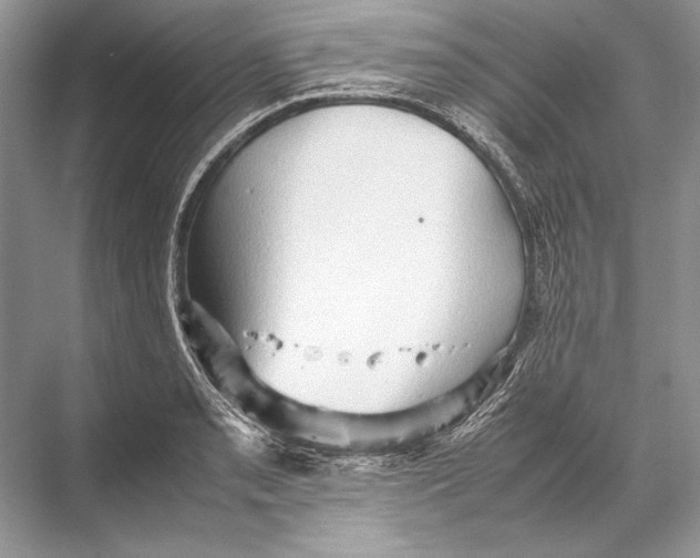 X0000067831085200605041617