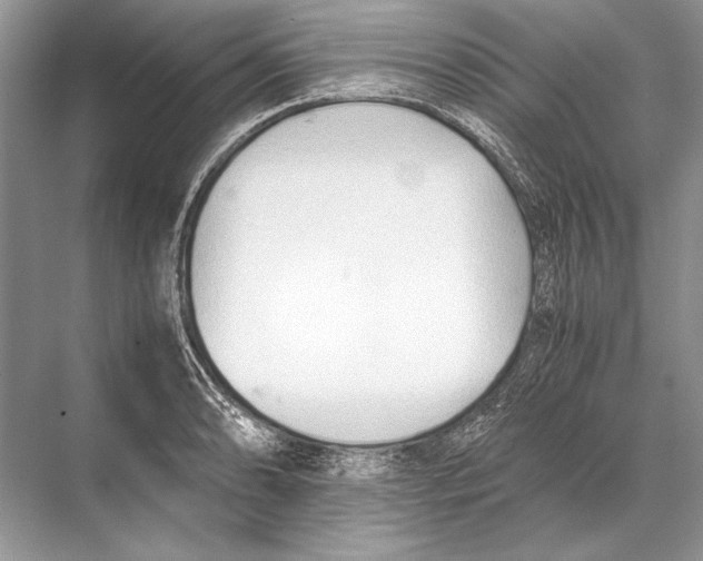 X0000067831086200605041617