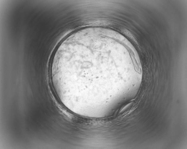 X0000067831087200605041617