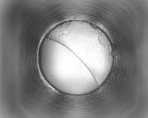 X0000067831088200605041617