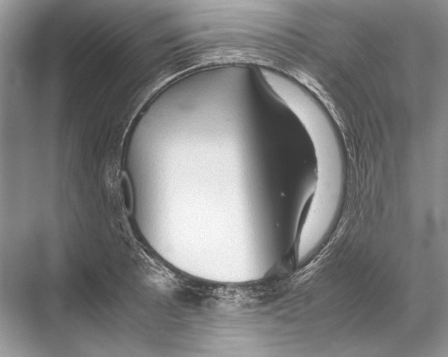 X0000067831089200605041617