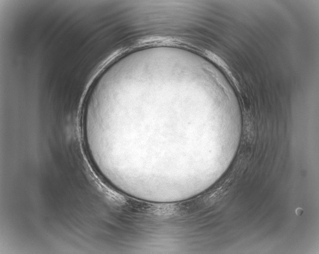 X0000067831090200605041617