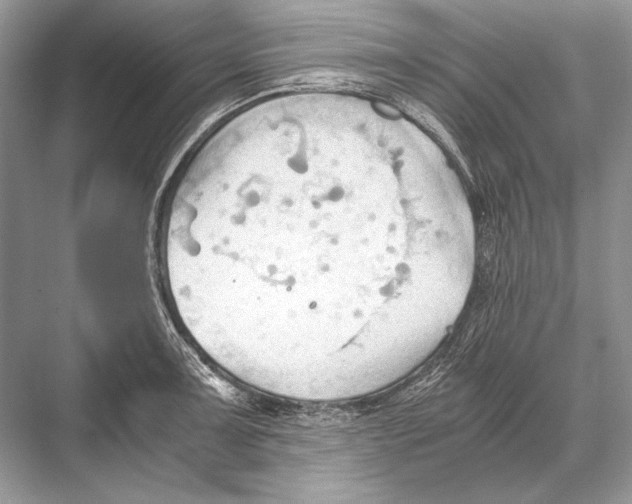 X0000067831091200605041617